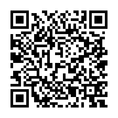 QR code for RM55738