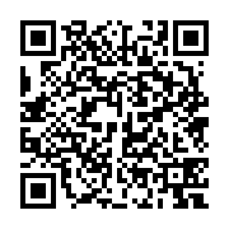 QR code for RO06380