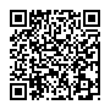 QR code for RO60339