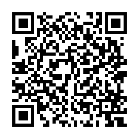 QR code for RO96877