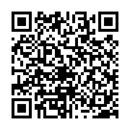 QR code for RP24313