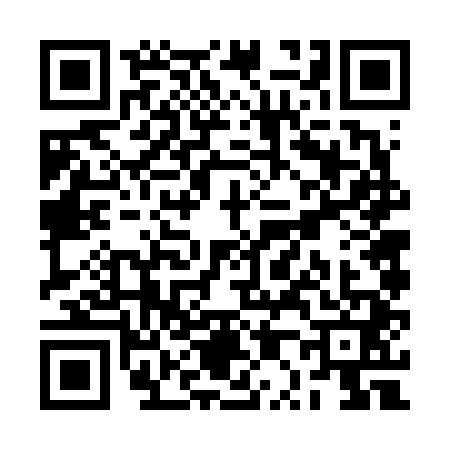 QR code for RP66411