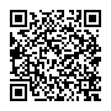 QR code for RP92498