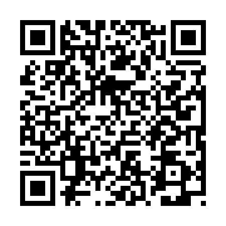 QR code for RR11028