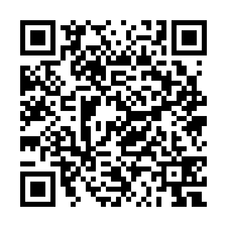QR code for RR13393