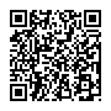 QR code for RS30385