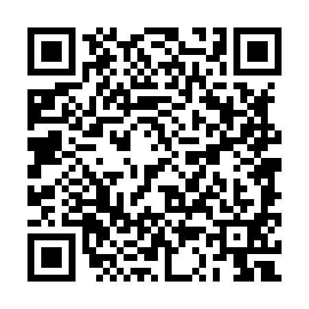 QR code for RS48919