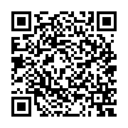 QR code for RS53656
