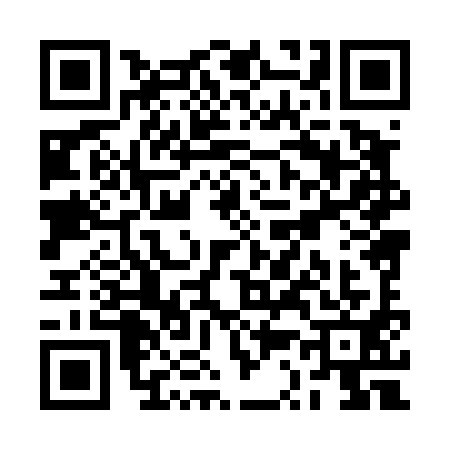 QR code for RS84919