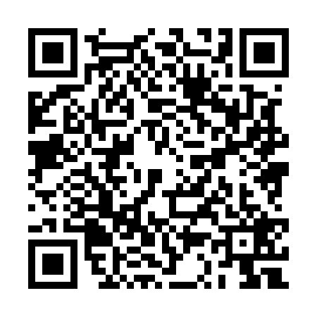 QR code for RS85295