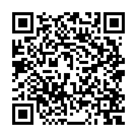 QR code for RS96463