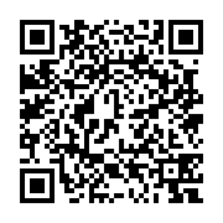 QR code for RT10384