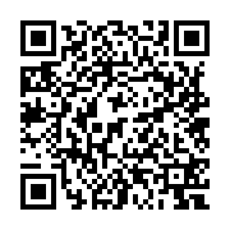 QR code for RT29206