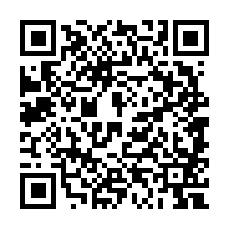 QR code for RT46833