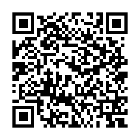QR code for RV17603