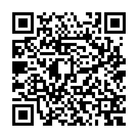 QR code for RX13225