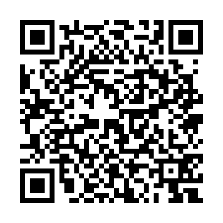 QR code for RZ13729