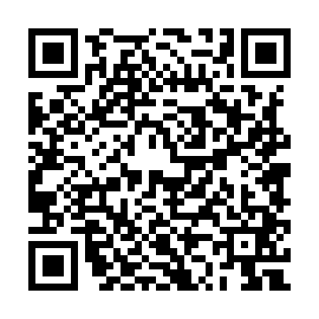 QR code for RZ49411