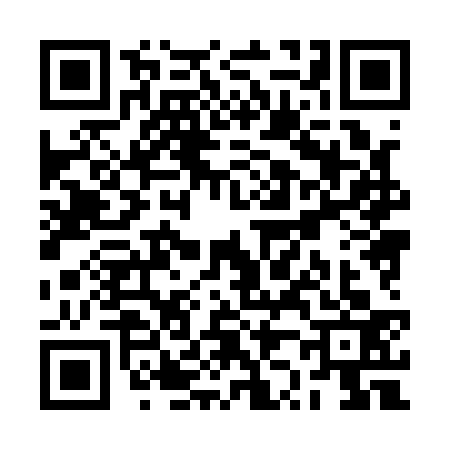 QR code for RZ81333