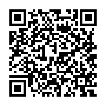 QR code for SC29153