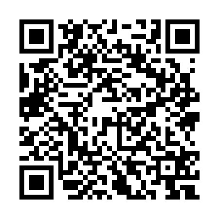 QR code for SD93246