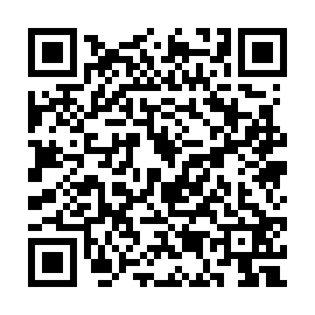 QR code for SE17220
