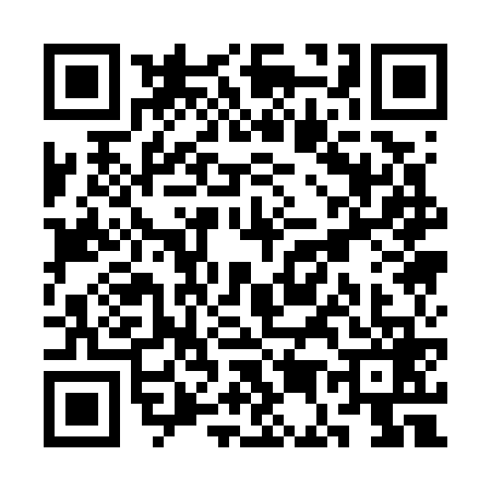 QR code for SE17696