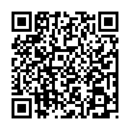QR code for SE29665