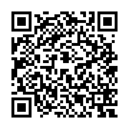 QR code for SE33699