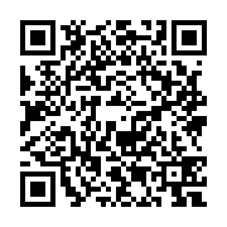 QR code for SE91393
