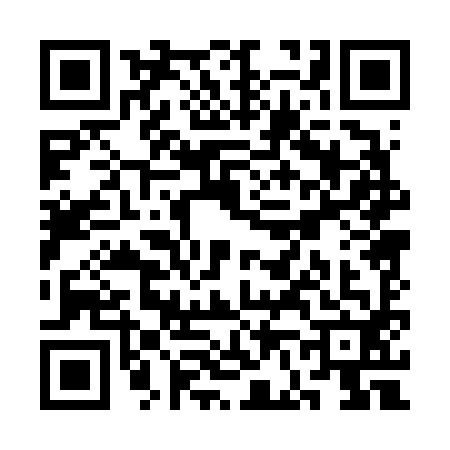QR code for SF06928