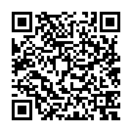 QR code for SF29383