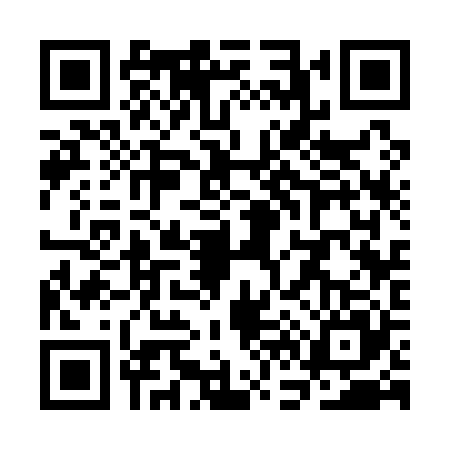 QR code for SF31251