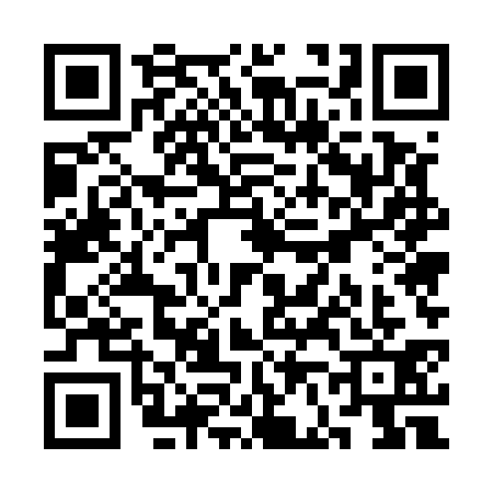 QR code for SF55317