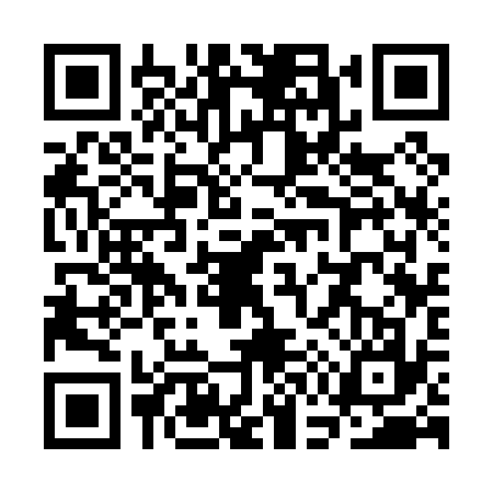 QR code for SG30373