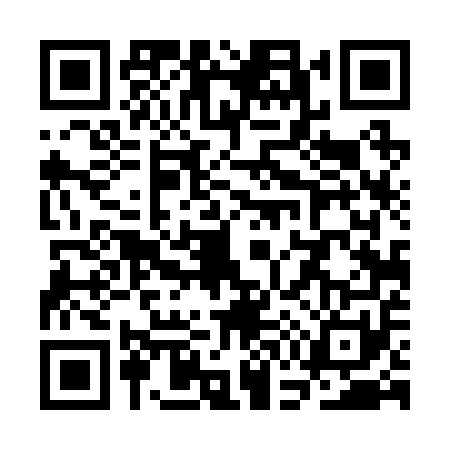 QR code for SG42517