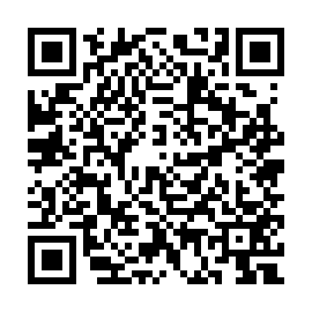QR code for SG53530