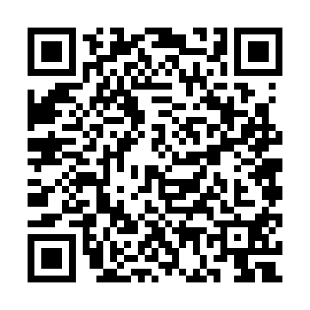 QR code for SG63101