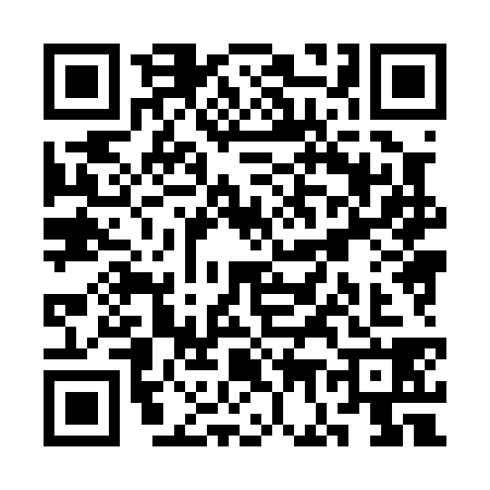 QR code for SG80384