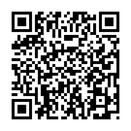 QR code for SG95797