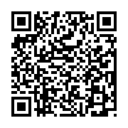 QR code for SH38993