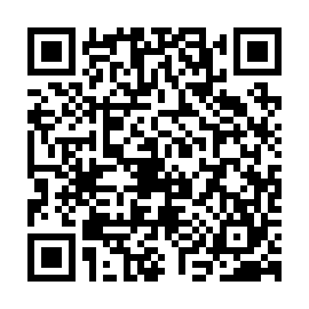 QR code for SI12646