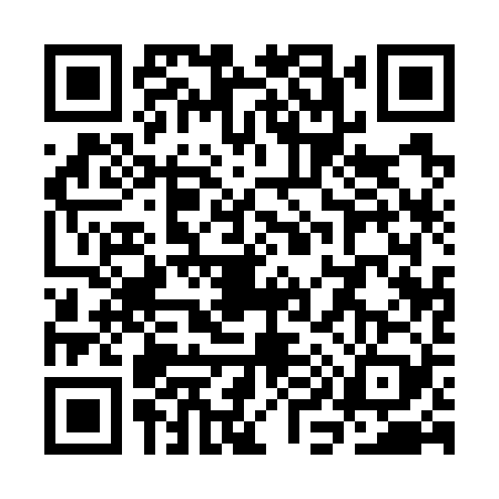 QR code for SI17293