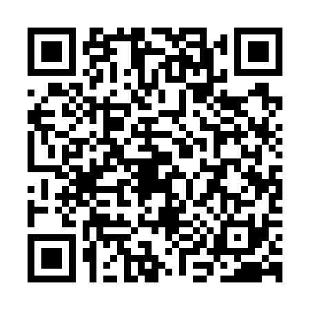 QR code for SI17313