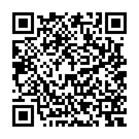 QR code for SI20565