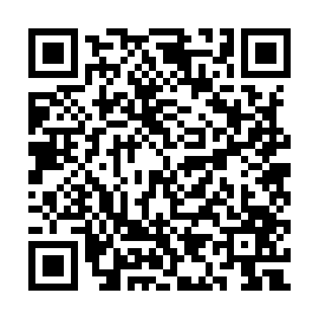 QR code for SI29479