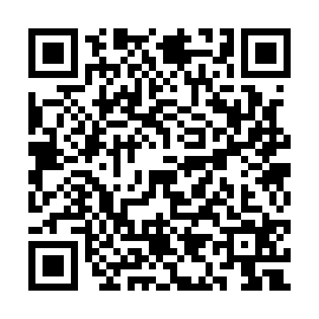QR code for SI31247