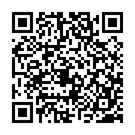 QR code for SI41563