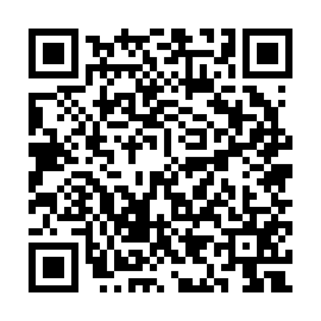 QR code for SI52553