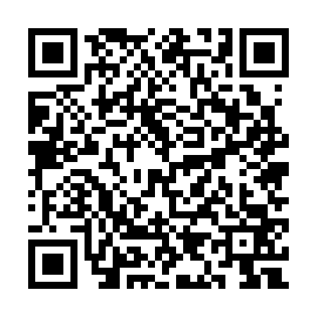 QR code for SI53633